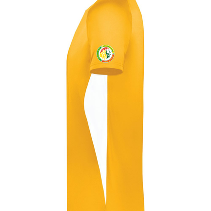 Senegal vs everybody Jersey